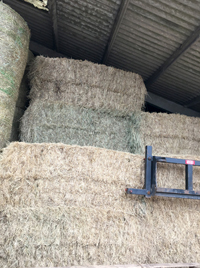 Hay - Large bale