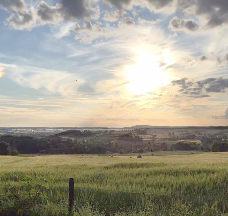 Staffordshire countryside