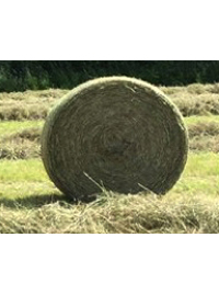 Hay - Round bale